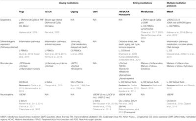 Molecules of Silence: Effects of Meditation on Gene Expression and Epigenetics